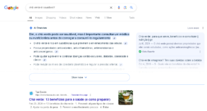 O Papel da IA no Conteúdo Zero-Click (1)