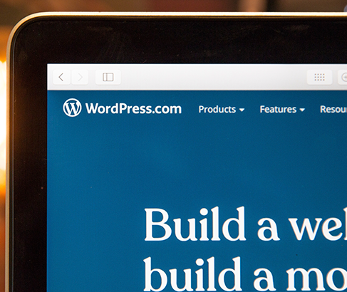 Criação de Site em WordPress