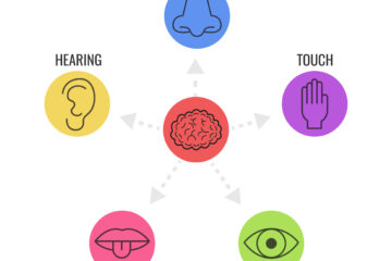 Marketing Sensorial Como Estimular os Sentidos e Criar Experiências Únicas para o Seu Público